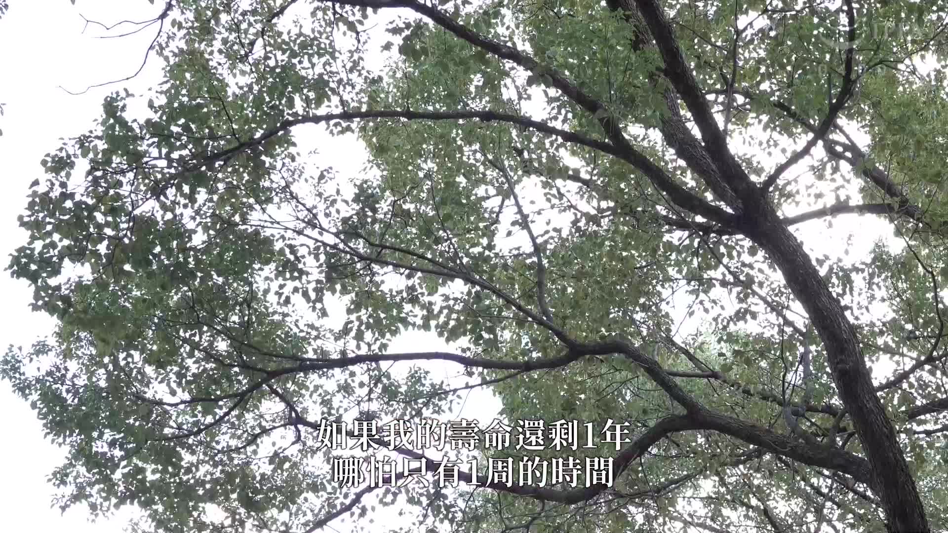 溺於老人照護的甜蜜滋味：祈山愛 - AV大平台 - 中文字幕，成人影片，AV，國產，線上看